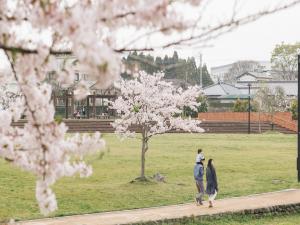 離婚後の養育費を多くもらうには?相場を知ってできる限り多く請求しよう!