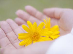 離婚式とは｜式の内容や費用、離婚式を行うメリット・デメリットを解説